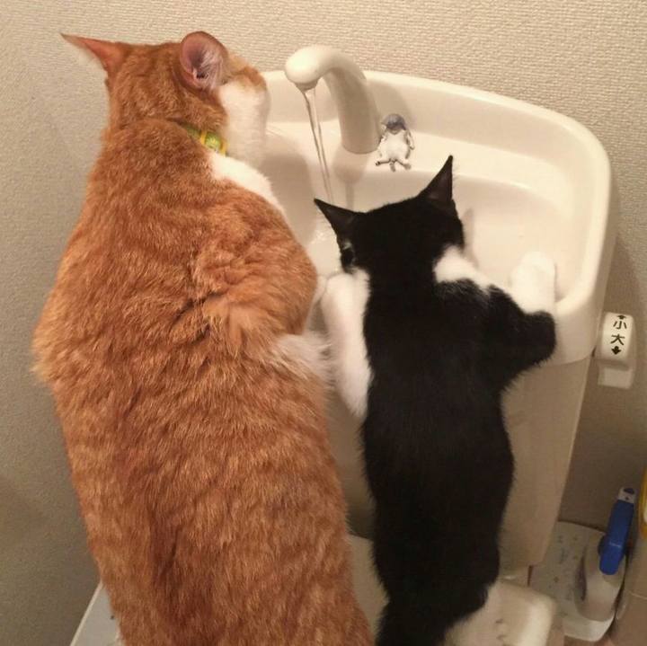 4975b426 114f 435c 999b d662cc8ff25f