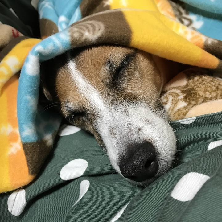 49767e26 4c65 401d b5d8 cb6c1ad927f6