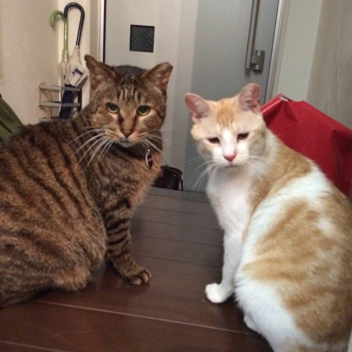 497691a4 e193 452d a896 41d5668b9878