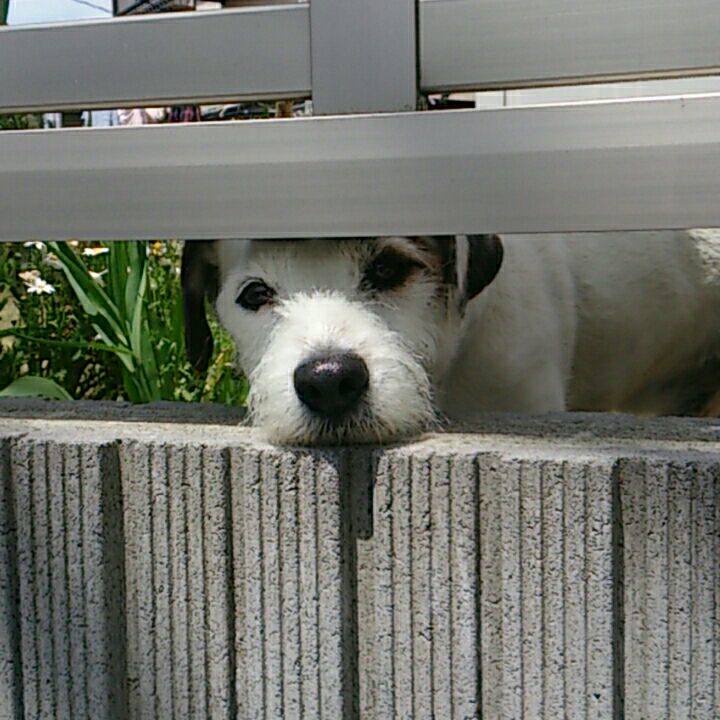 4976e17c c6a6 4df5 a985 cf5e102b9c97