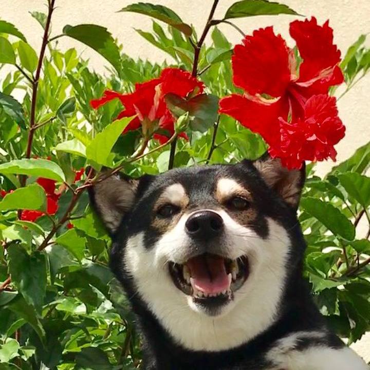 497784f7 5fcb 41a0 9237 3a77bc186a15