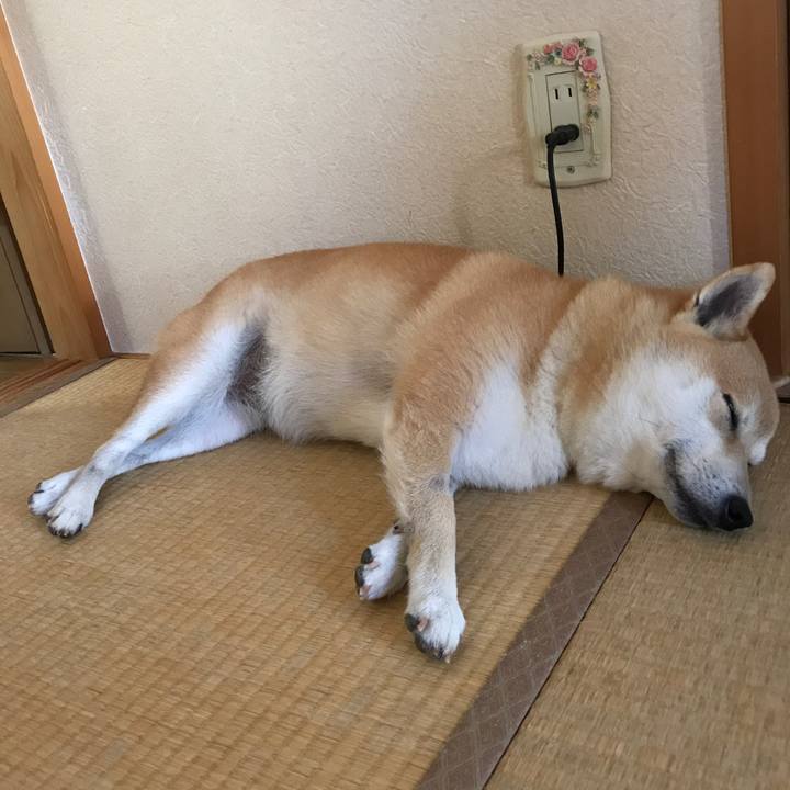 49783db8 2a2a 49ee a77f a32442088ff2