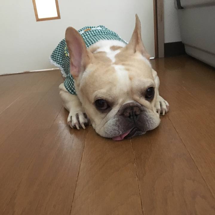 4978ff77 f962 498f 8453 5225ce0237d0