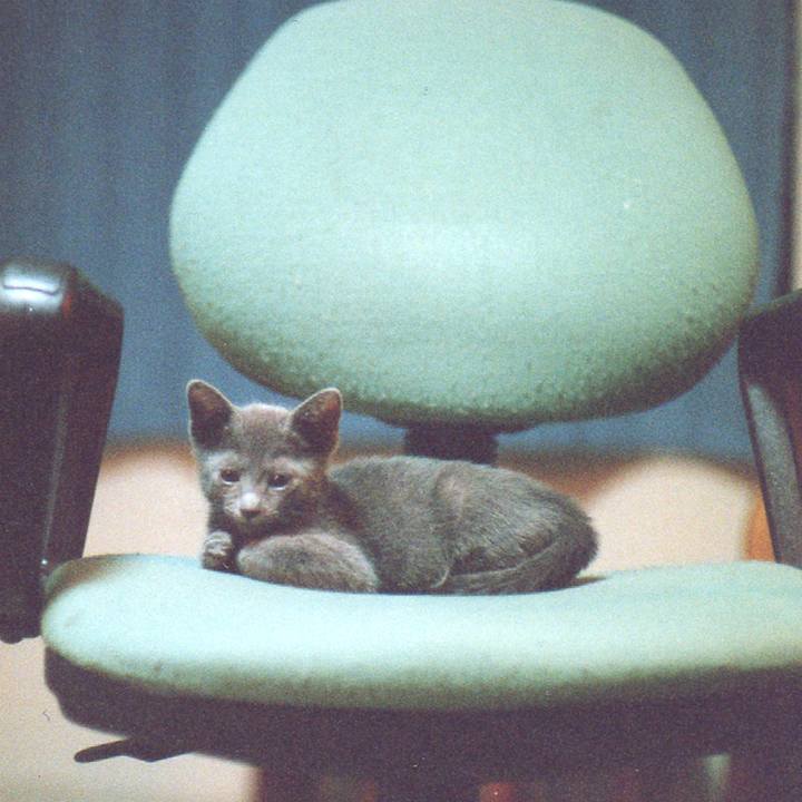 49790bc1 6469 4721 abf9 100002cecdec