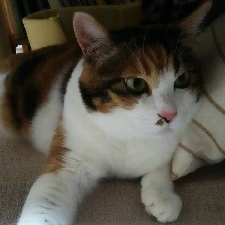 49793e56 58b2 4c5b aec0 281bce93dbe7