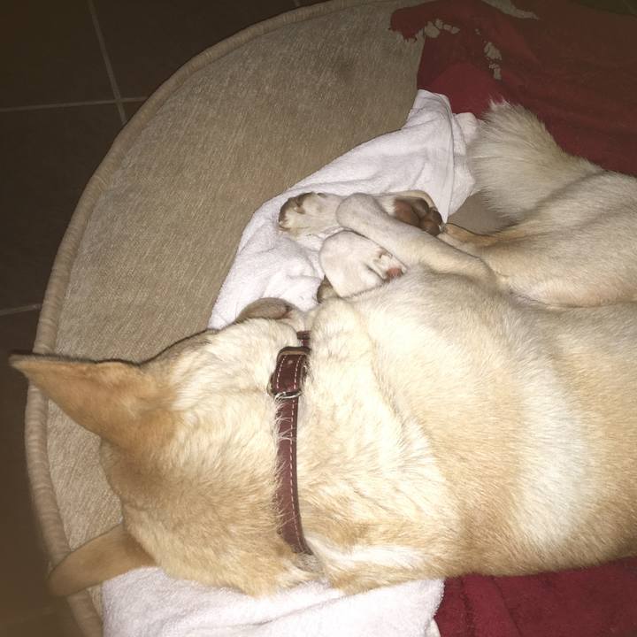 497a63fa 6e24 4837 9250 37d5a35e2f8f