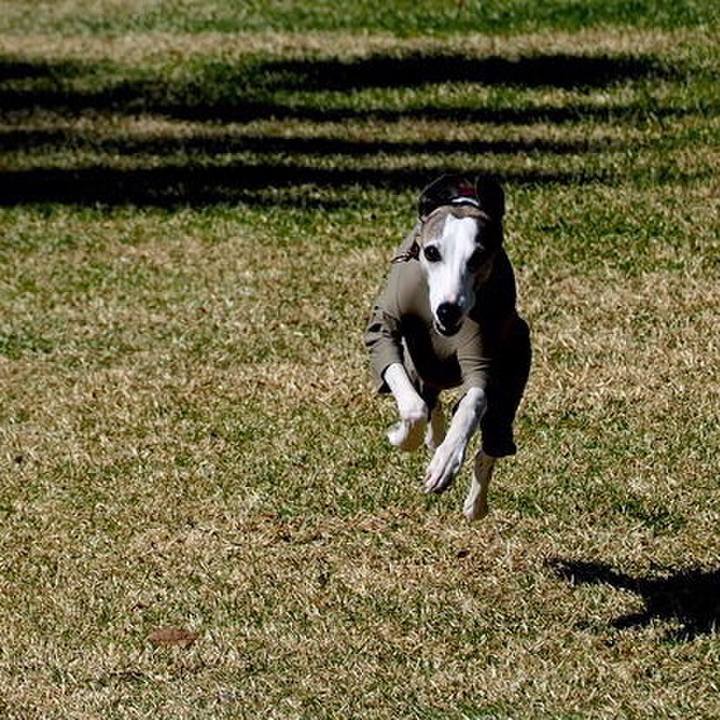 497ac56a 5545 4f49 8571 c20324832df5