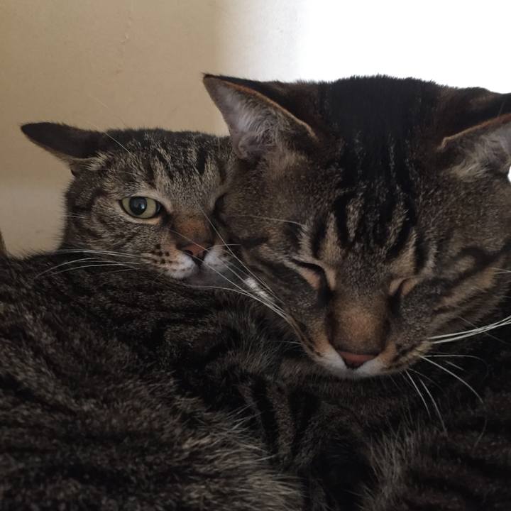 497b3816 82b2 402b 83cf 5556a3604bf7