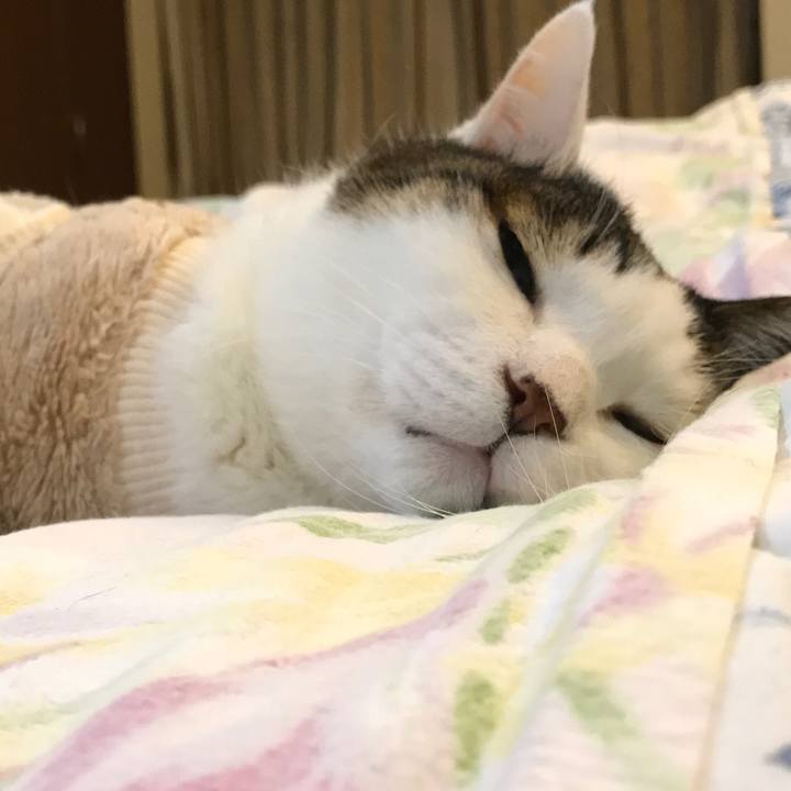 497b42e0 075b 4a32 b98f 01b532ad86d4