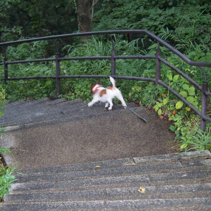 497b8921 2982 4e05 b848 0d946be0cf88