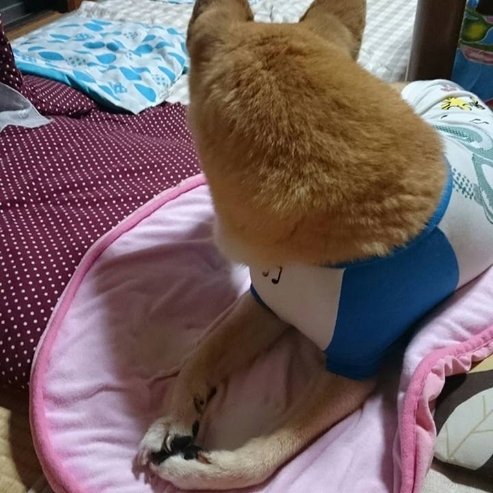 497bdbd0 64f6 40cb a3e9 df6fa3d00728