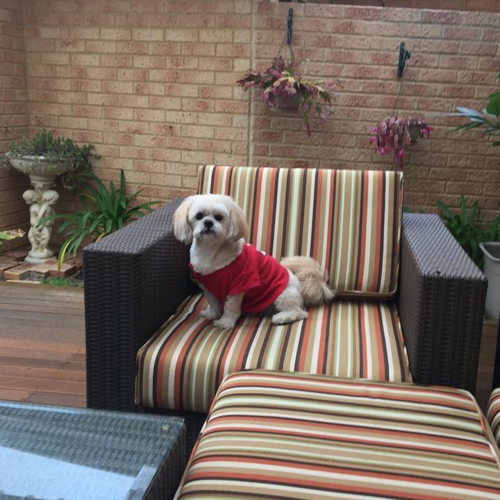 497befb5 b7bf 49a2 8052 eb922e51aeaf