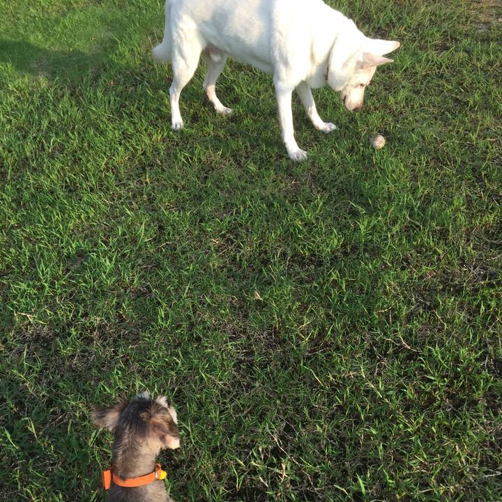 497cfdf8 7083 482c ad57 2bc831ae258f