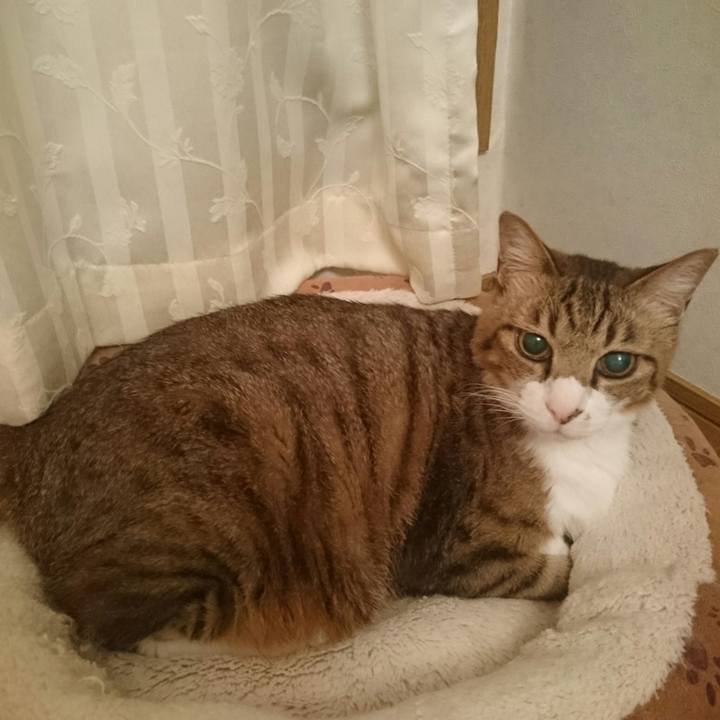 497dc52d 4217 45c2 846f 65625ee833cf