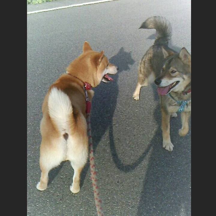 497df855 40f2 4e76 a5e1 5d8f5d71283c