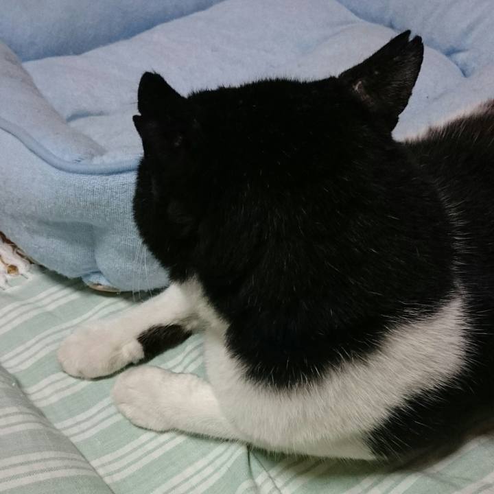 497e315c dd1f 4571 9fcd bc5281815336