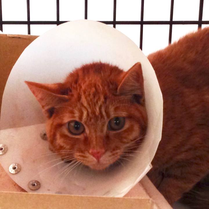 497e743f fa83 4527 aa14 ede459c0f869