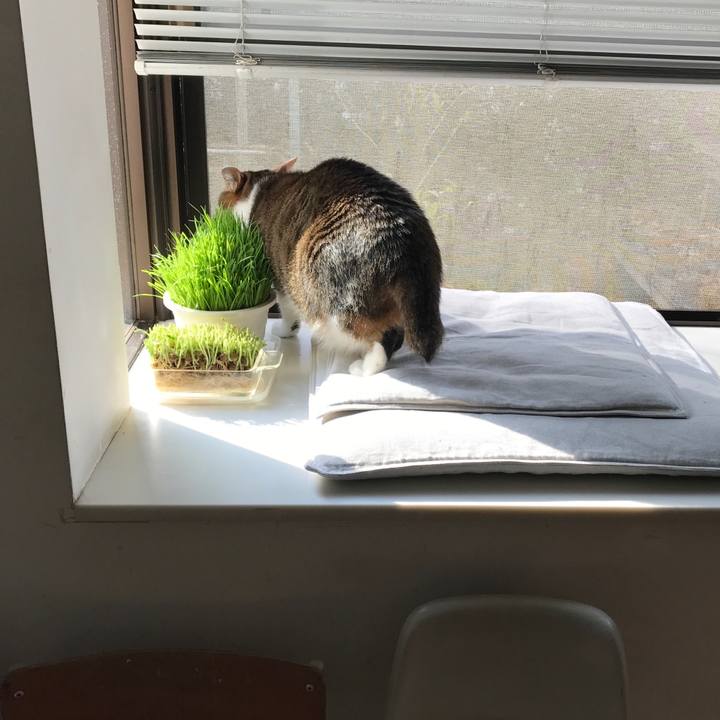 497e77a4 5678 44f5 ba9e fa7ffb902a57