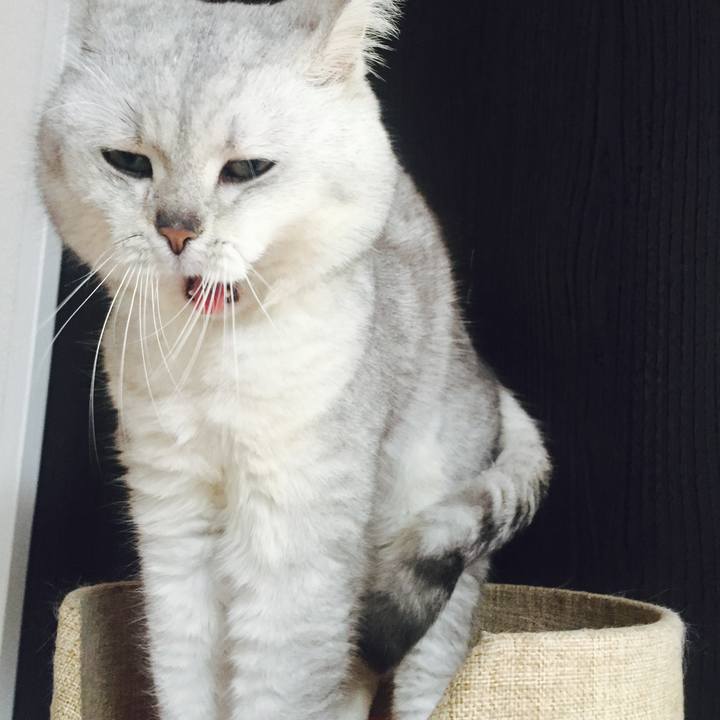 497ef00e befd 4c12 9662 5ff68cb0f61f