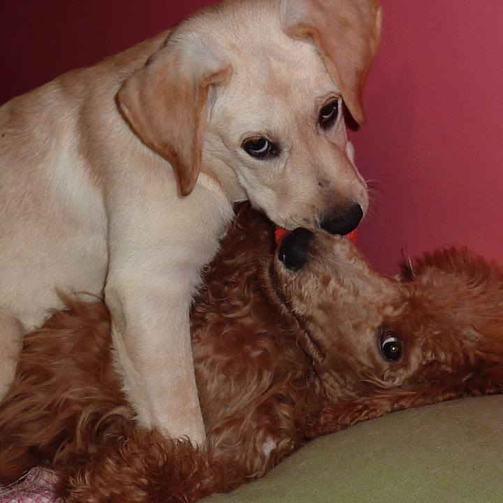 497f3788 3e4b 4ce8 822a 4c189f01cf88