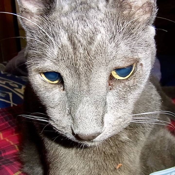 497f4f19 d8cc 4748 abe5 fb2d2a7b298c