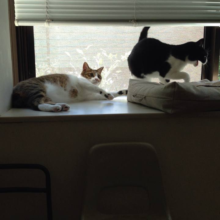 497fa92e 8571 4d07 86bf 9b878e4e4cd0