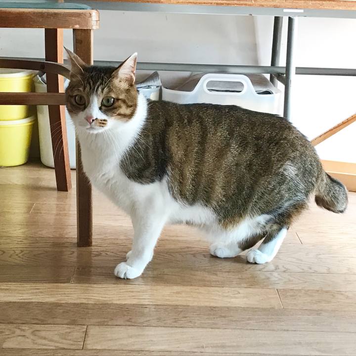 49811684 7cbe 4410 b390 175d2cc7644c