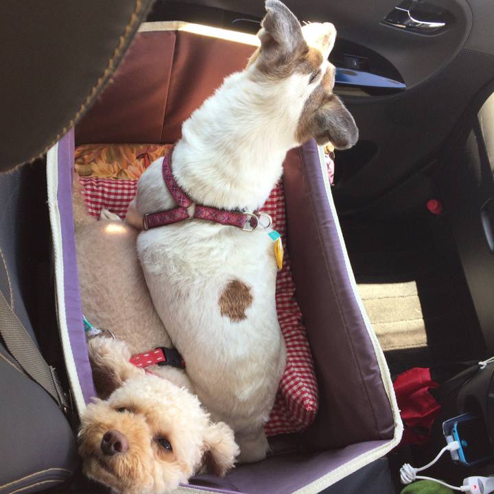 4981b4e9 71f3 4b9c b88c d63ab4cb94ce