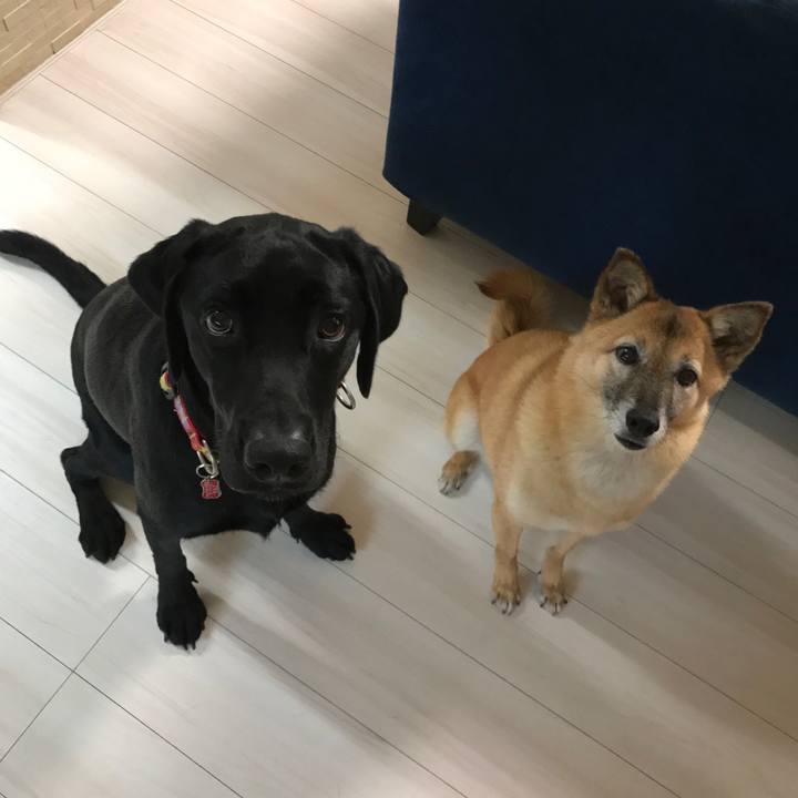 4981c471 7727 4dd5 bd99 fff4a3bd6260