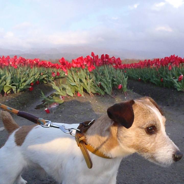 4981f55c 1999 492a b63f ad626fb76f19