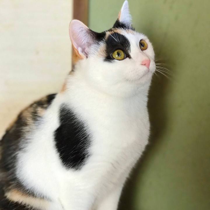 49822d6c 1ee4 4168 9e00 36606a0fd7ab