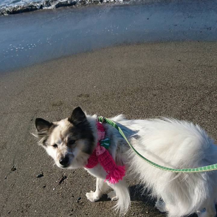 49825edf 79b8 4b6f a7bc cea8b3c7e86a