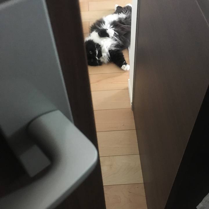 49830ea1 9800 4d04 bf23 dc82d814fe7a