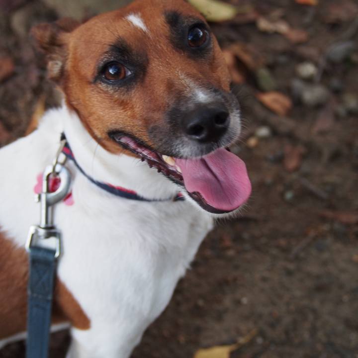 4983161c 773c 4210 a17f 846957e33b40