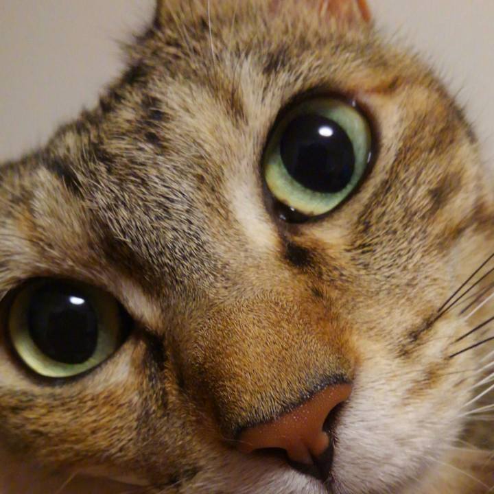 4983d370 4f91 4ca5 8fab 7c4fff92dfd0