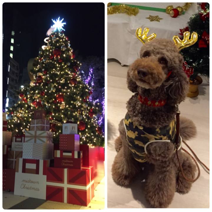 49847e30 d4ca 4cde b264 d398a3b68c4d