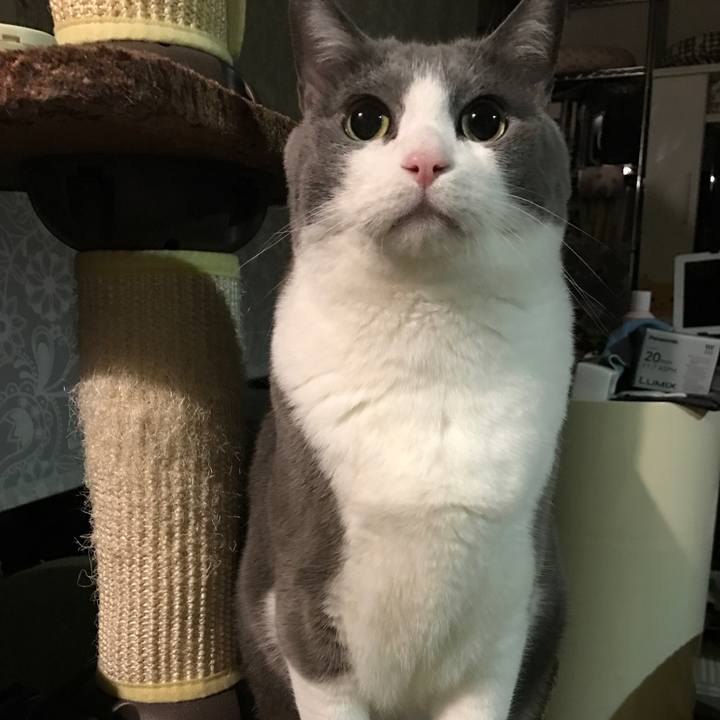 4984fcd6 b110 4480 a294 262760ddb6ed