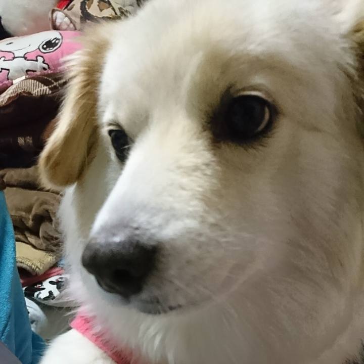 498547fc ecd1 4463 8669 c2d895eb0fb1