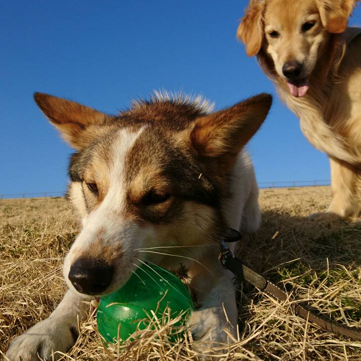 4985585a 5938 40cd 85a8 d9a8d68428bb