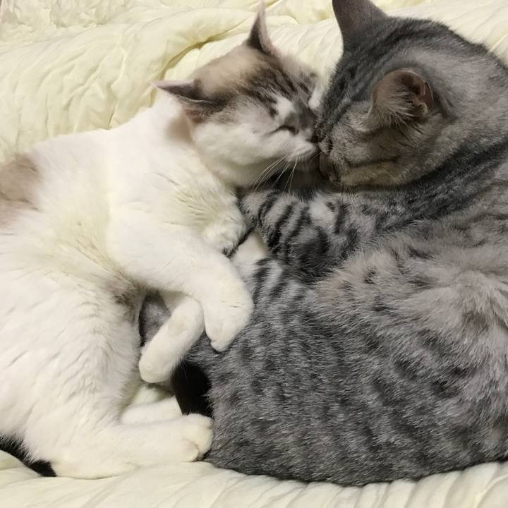 49856575 4347 4646 bceb c9ce9da488ed