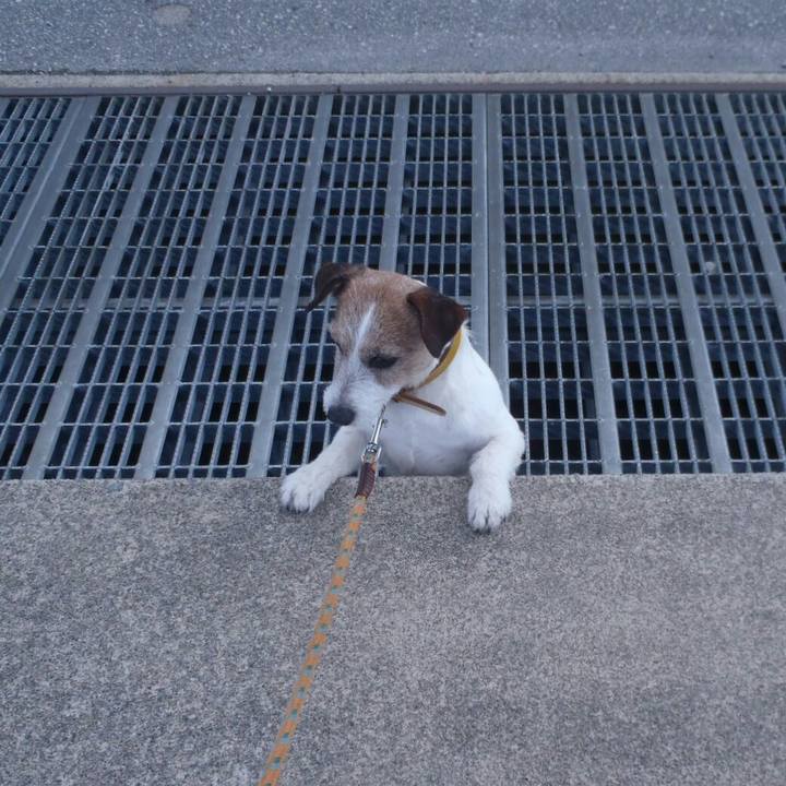 4985e09b 32b9 498d bec1 a66911db4788