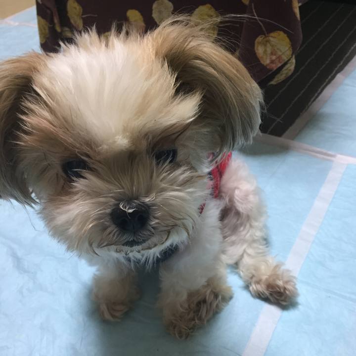 4985eb2e 2568 4d01 a1ec fb81b237317c