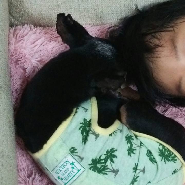 49872e88 89d1 488d a7c4 9450051b45a7