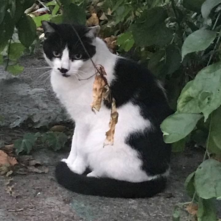 49875aeb d3d5 420a a0e8 d4cb04ad8be7