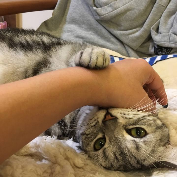 498991aa 41cb 45f0 a953 6a434224408c