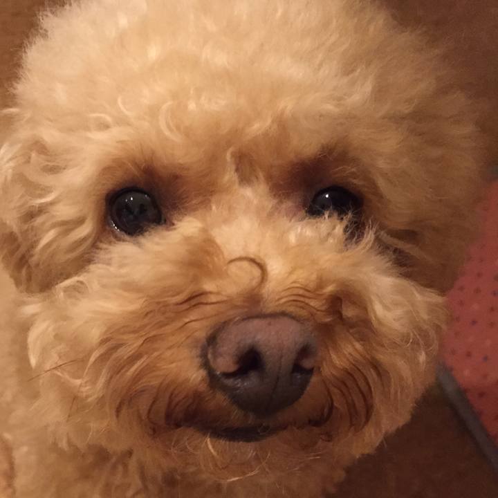 4989cace cf02 4a8b a177 84f7362564ac