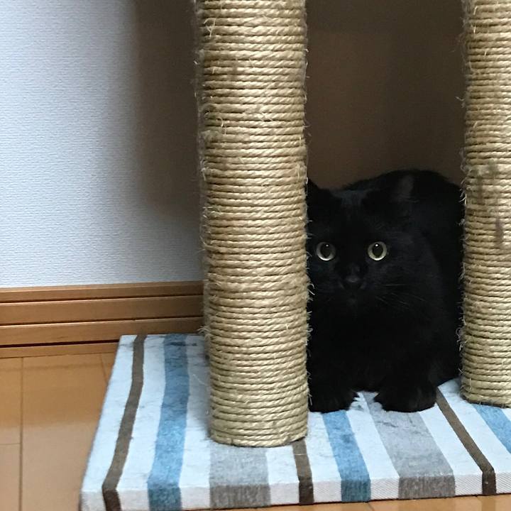 498a5b36 1da9 4a75 8537 f5ec917229bf