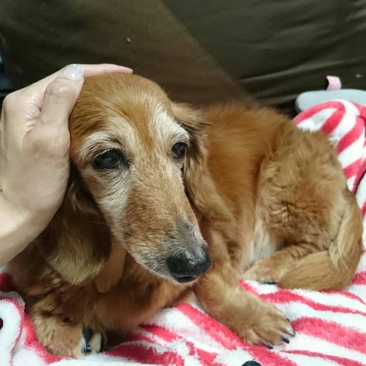 498b0b52 69ea 4899 abff 14aca67213c4