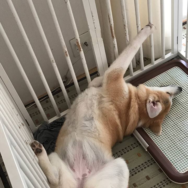 498b1736 2caa 4a35 ac71 cf9e3db22e50