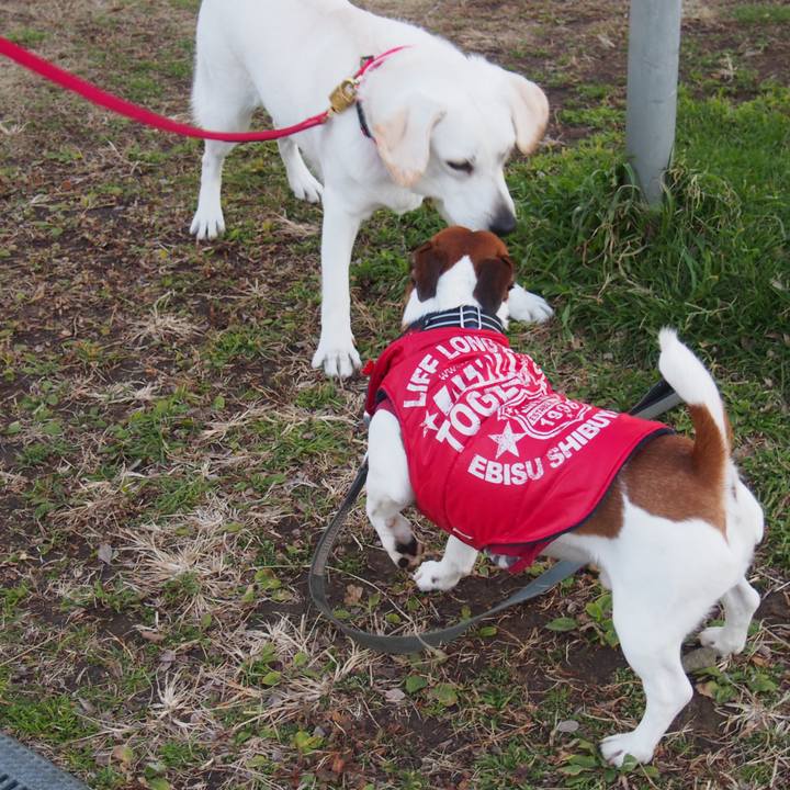 498b3ba8 f113 4264 b7d3 5cf7f44d8c63